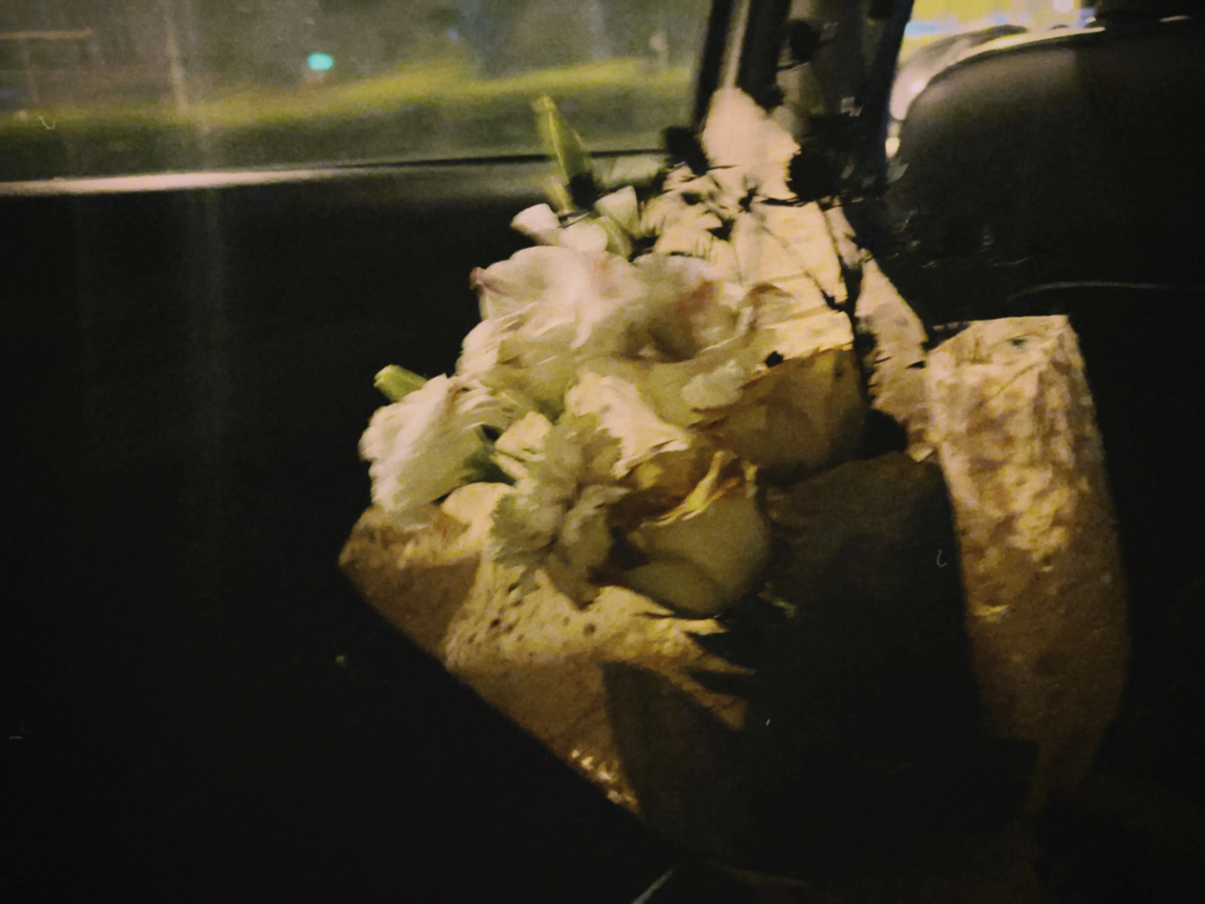 Banner image of the blog