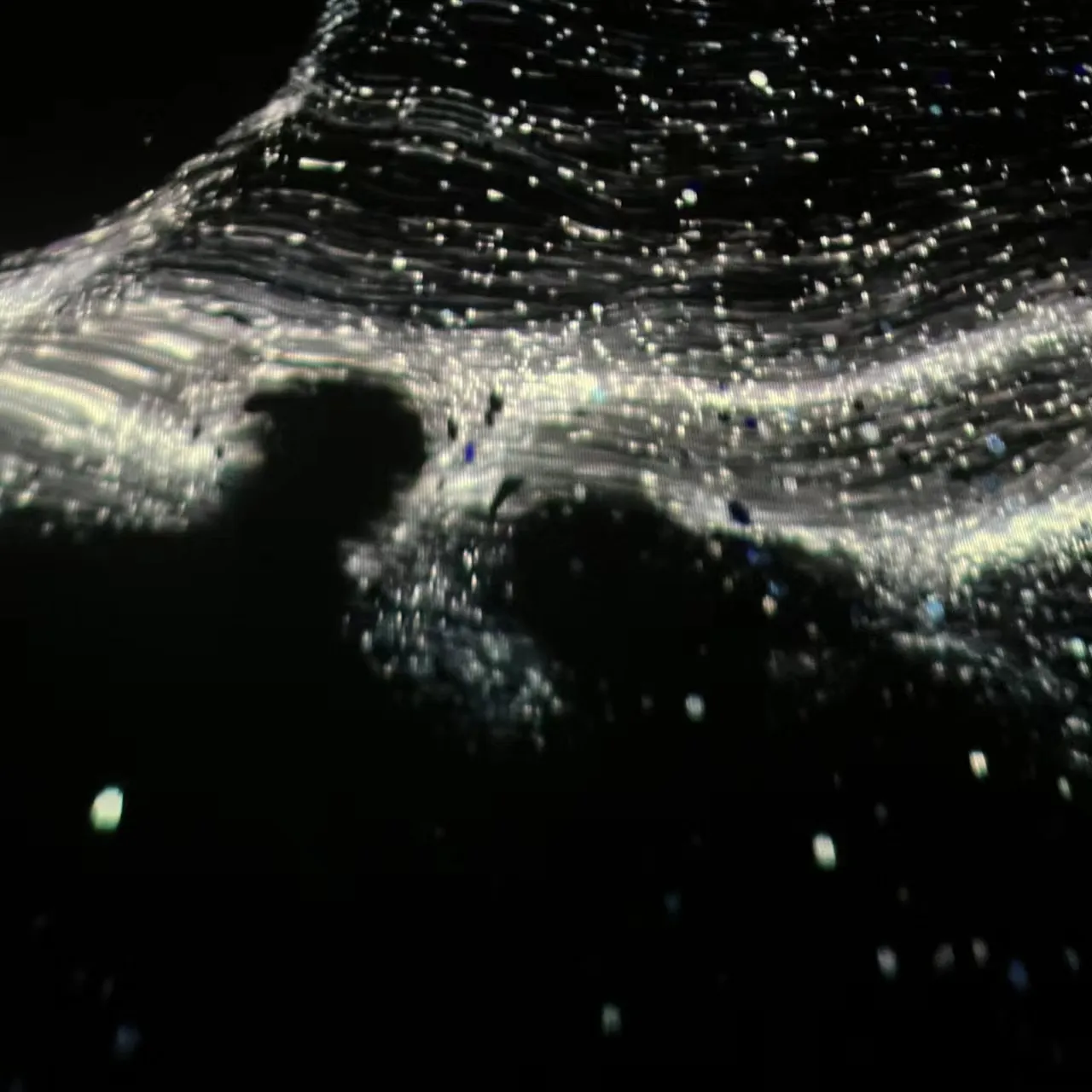 Profile Image of the Author